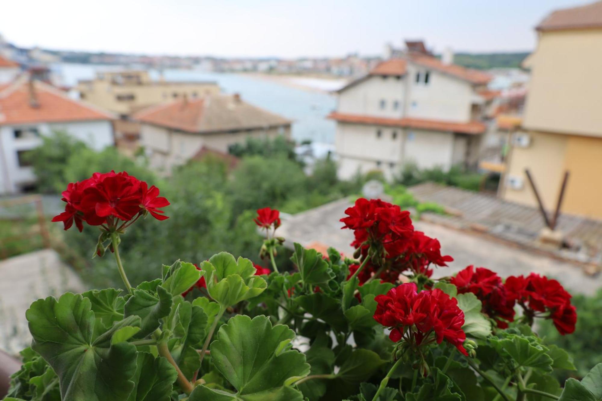 Kalina Guest Rooms Sozopol Bagian luar foto